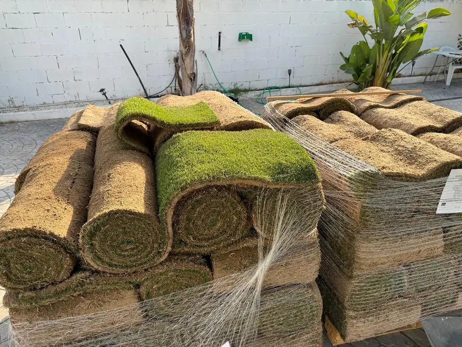 Rollos de césped natural en tepe sobre palé, listos para instalar