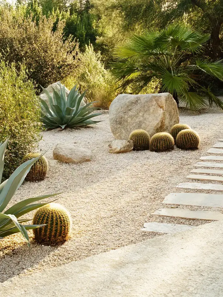 Rocalla con agaves, cactus y grava clara